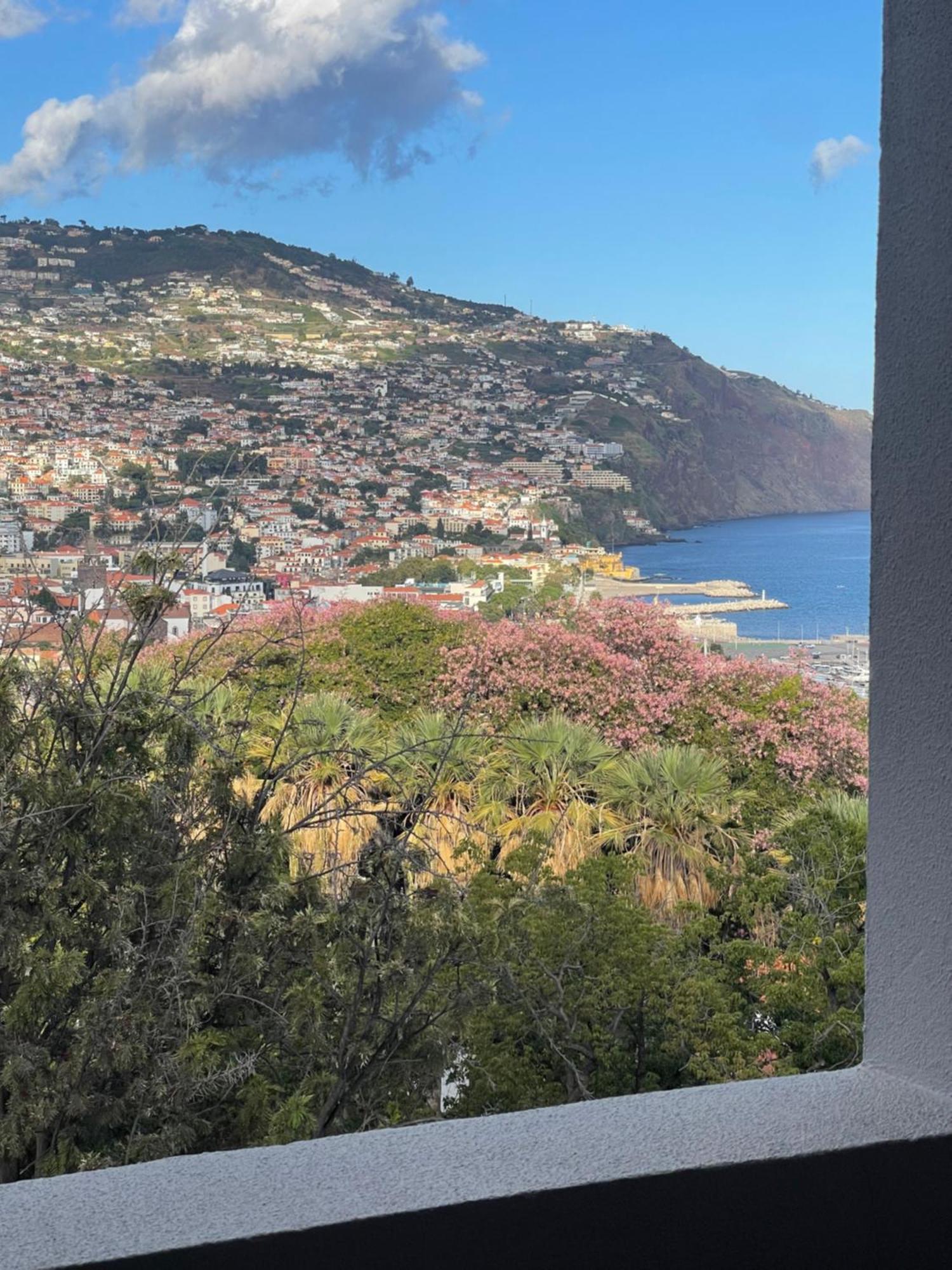 In Town View Apartment Funchal  Exterior photo